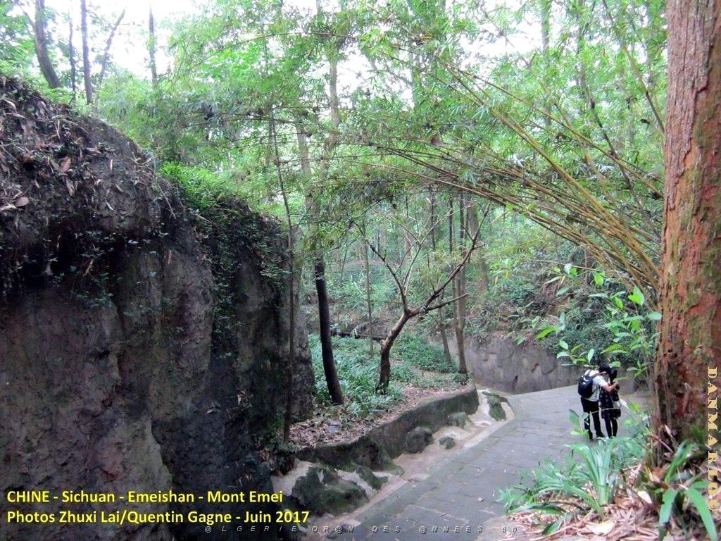 Emeishan 034.JPG